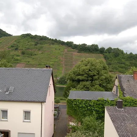 Mosel Bub