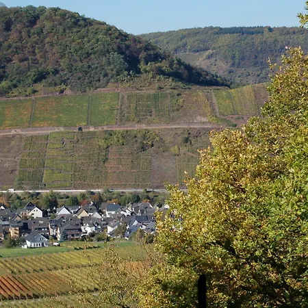 Mosel Bub * Bruttig-Fankel