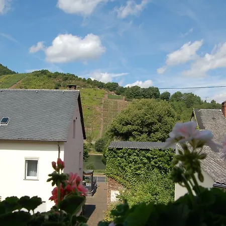 Mosel Bub