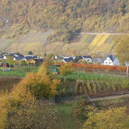 Apartment Mosel Bub Bruttig-Fankel