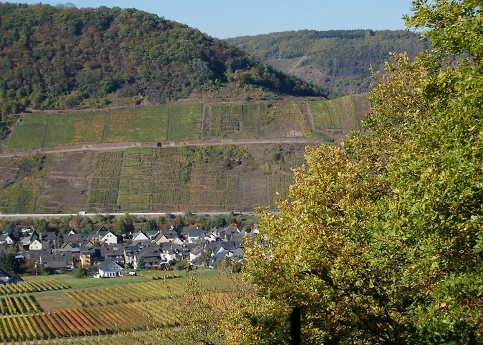 Mosel Bub * ブルッティヒ・ファンケル