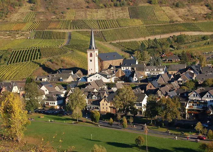 Mosel Bub * ブルッティヒ・ファンケル