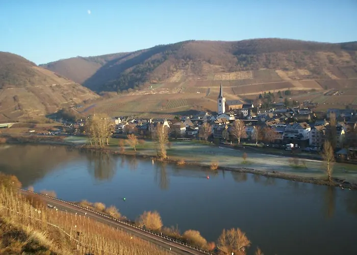 Mosel Bub ブルッティヒ・ファンケル