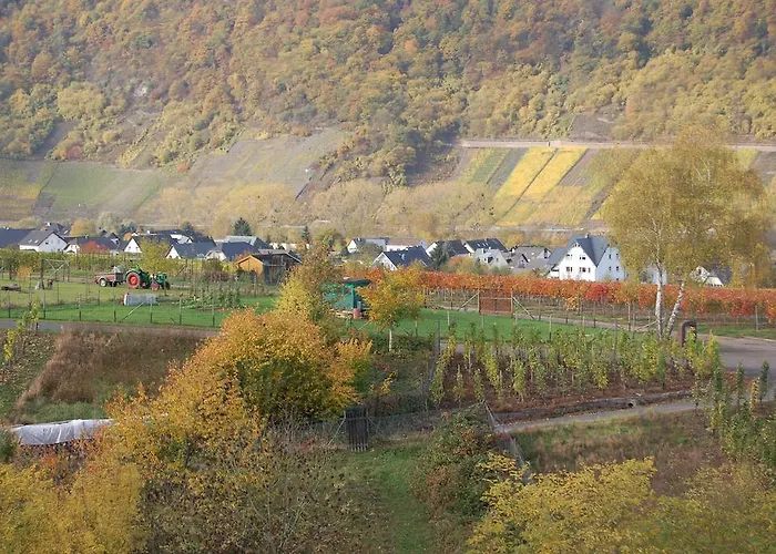 Appartement Mosel Bub Bruttig-Fankel